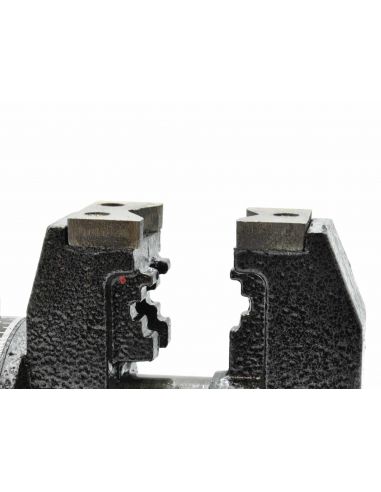 Imadło obrotowe wielofunkcyjne 4" 100 mm GEKO - G01034 - GEKO - 6