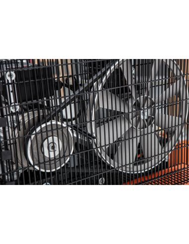Kompresor olejowy 100l, 230V Neo Tools - 12K030 - NEO Tools - 4