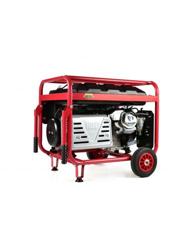 Agregat prądotwórczy z elektronicznym startem 15 KM 6,6 kW Tvardy - T05003 - Tvardy - 4