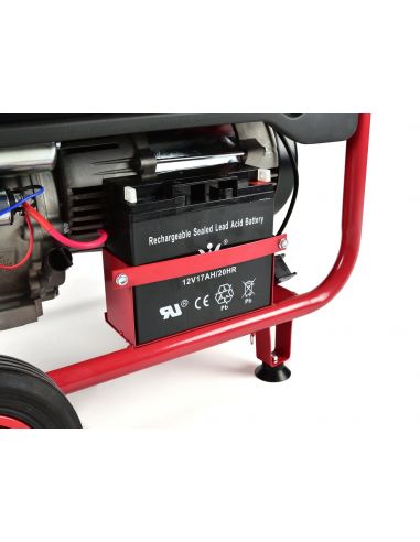 Agregat prądotwórczy z elektronicznym startem 15 KM 6,6 kW Tvardy - T05003 - Tvardy - 9