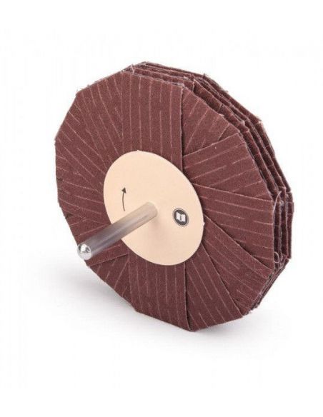 Ściernica gwiazdkowa trzpieniowa 100x6 542JFF P60 Armes - TLG10054F060 - Armes - 1
