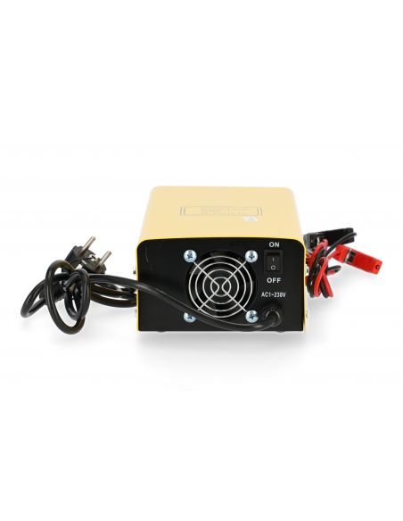 Prostownik inwertorowy Magnum AGRI 25-12/24 - U Ł AGRI25AUT - Magnum - 5