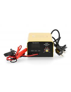 Prostownik inwertorowy Magnum AGRI 30/12 - U Ł AGRI30INV - Magnum - 1