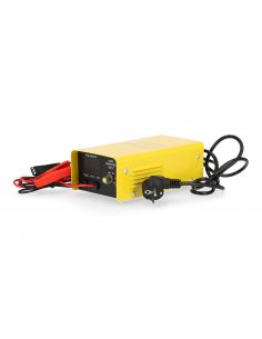 Prostownik inwertorowy Magnum AGRI 30/12 - U Ł AGRI30INV - Magnum - 1 2