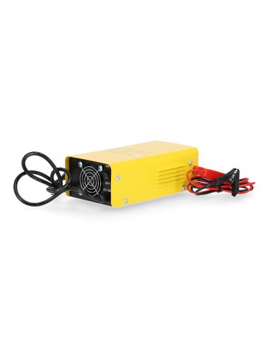 Prostownik inwertorowy Magnum AGRI 30/12 - U Ł AGRI30INV - Magnum - 6