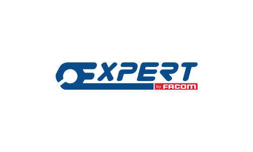 Expert
